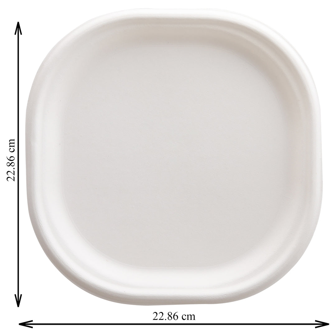 HARSHU 9 Inch Square Sugarcane Bagasse Plates (50 per pack)